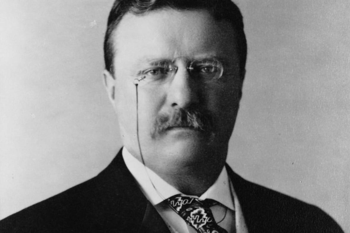 Biografi Theodore Roosevelt